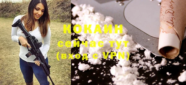 индика Покровск