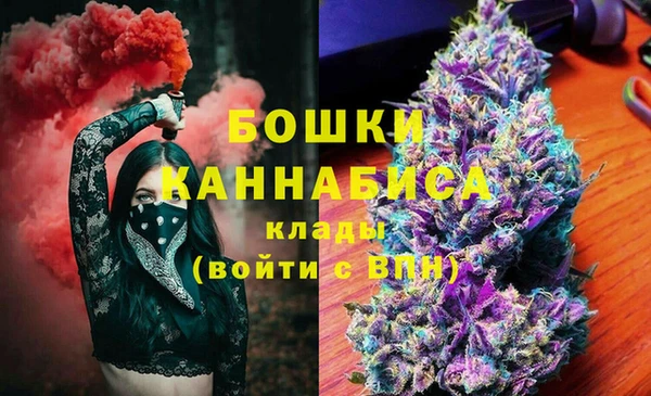 индика Покровск