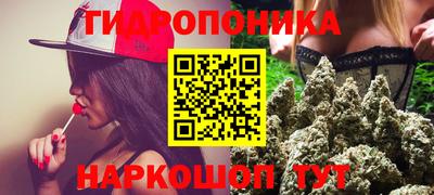 гидропоника Балахна