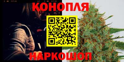 тгк Заводоуковск