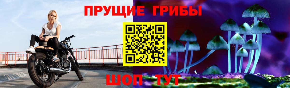 Галлюциногенные грибы Magic Shrooms Сертолово