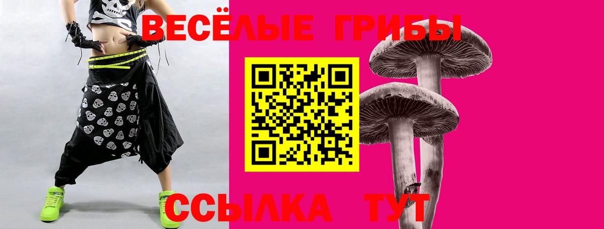 Псилоцибиновые грибы Cubensis  Вход с VPN  Сертолово 